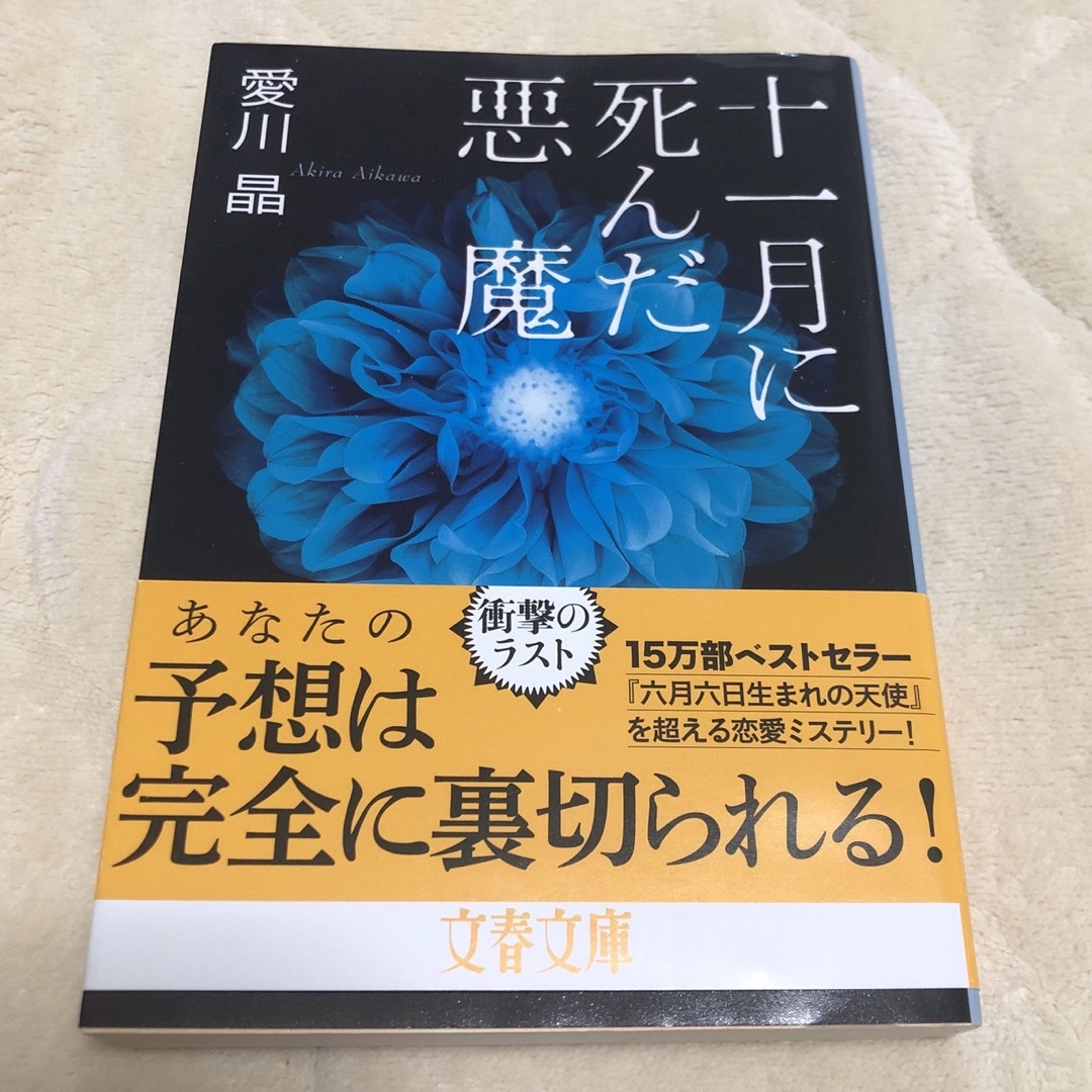 十一月に死んだ悪魔 エンタメ/ホビーの本(文学/小説)の商品写真