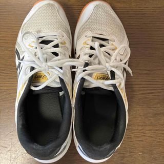 アシックス(asics)の【中古】アシックス　バレーボール　シューズ25cm(バレーボール)