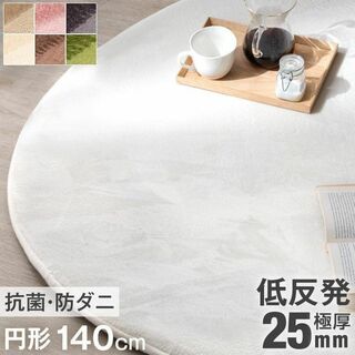 新品【カラー選択】カーペット140×140 円形 厚手低反発 /tansu(カーペット)