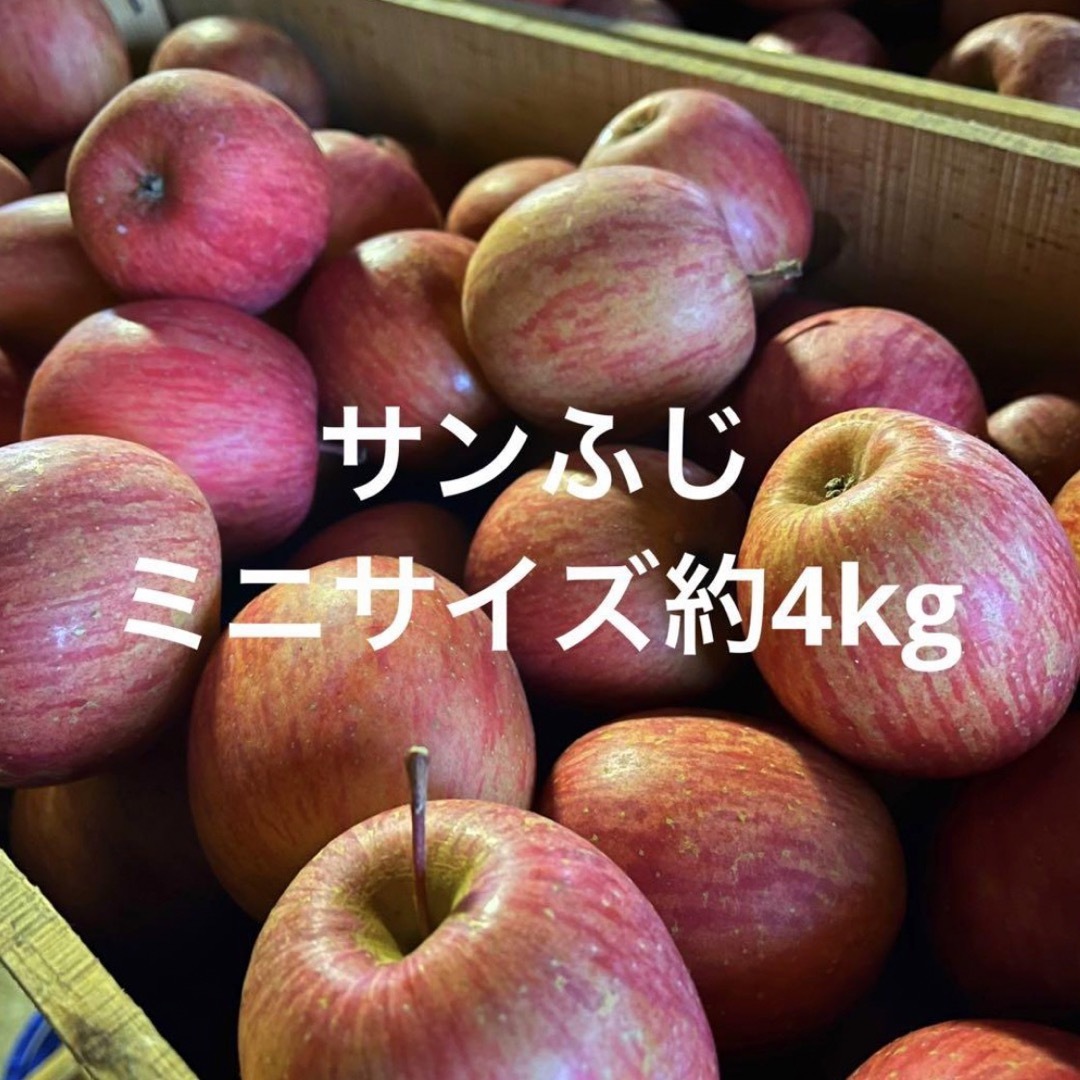 産地直送　サンふじ　青森県産　りんご　訳あり 食品/飲料/酒の食品(フルーツ)の商品写真