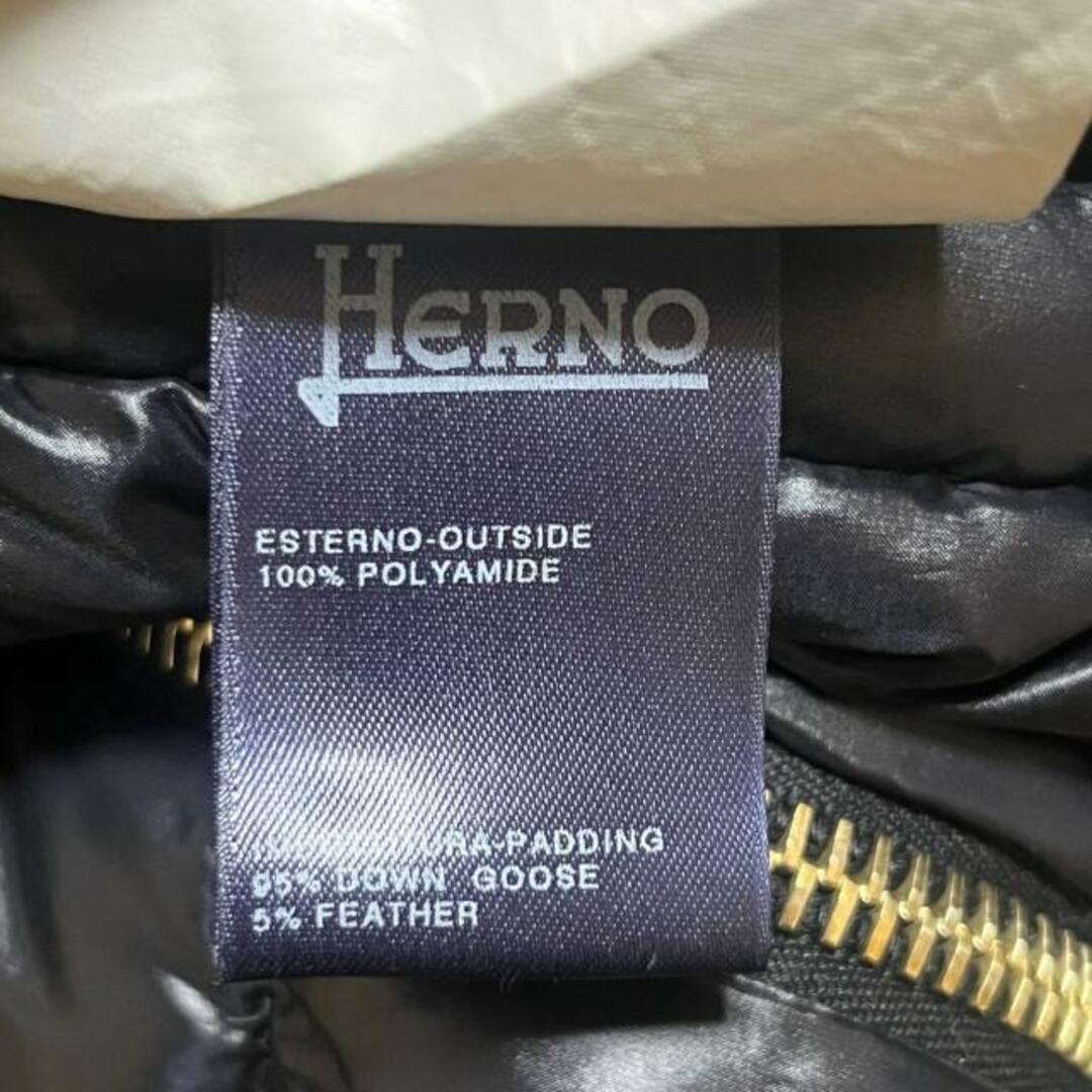 ヘルノ ダウンコート サイズ38 S - 黒ジャケット/アウター