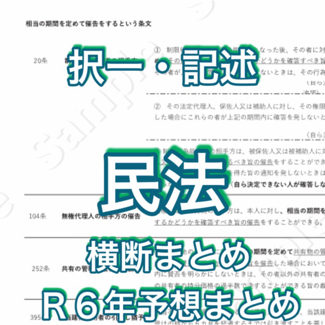 2024行政書士独学サポートchの横断まとめ集と記述論点集の２点セットです その他のその他(その他)の商品写真