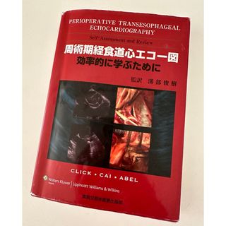 JB POT 周産期経食道心エコー図　効率的に学ぶために(健康/医学)