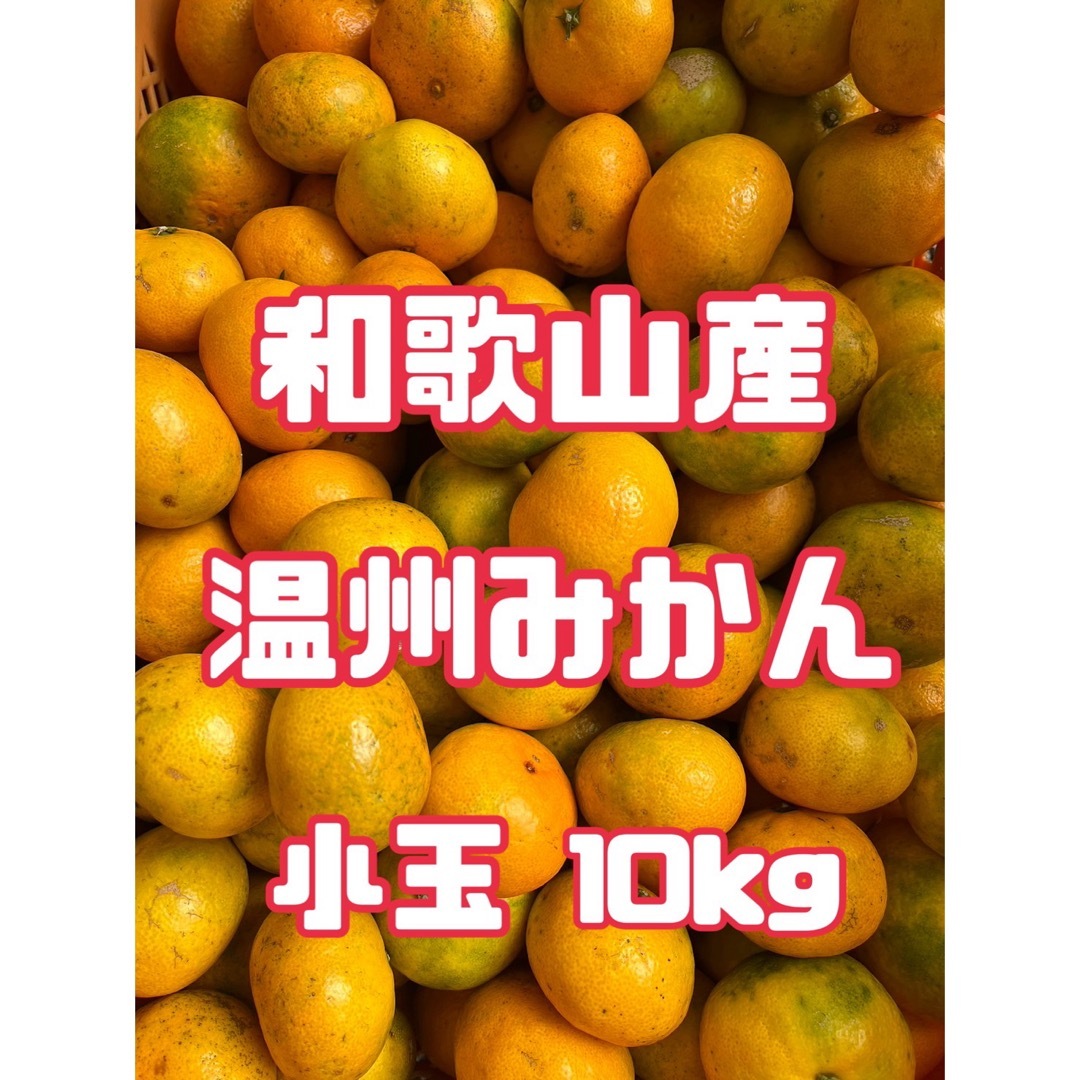 ⭐︎和歌山産⭐︎ 温州みかん 小玉 10kg 訳あり　みかん　柑橘類 食品/飲料/酒の食品(フルーツ)の商品写真