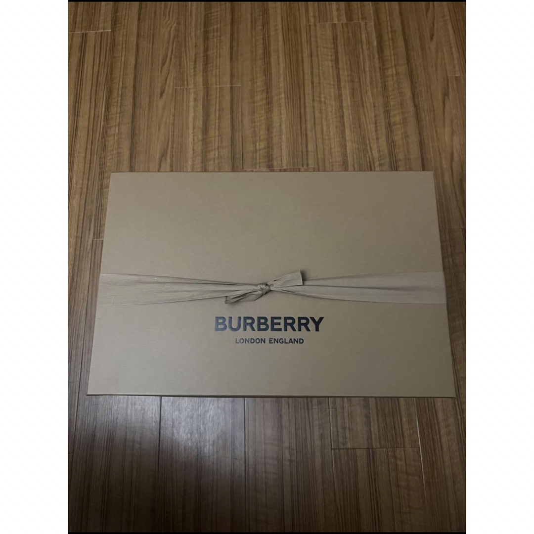BURBERRY(バーバリー)の新品未使用バーバリー Burberry ホースフェリー パーカー メンズのトップス(パーカー)の商品写真