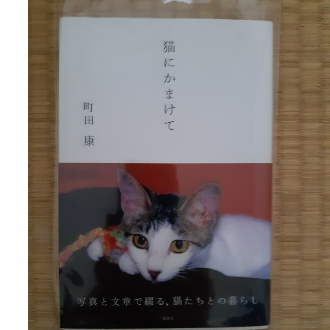 猫にかまけて エンタメ/ホビーの本(文学/小説)の商品写真