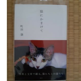 猫にかまけて(文学/小説)