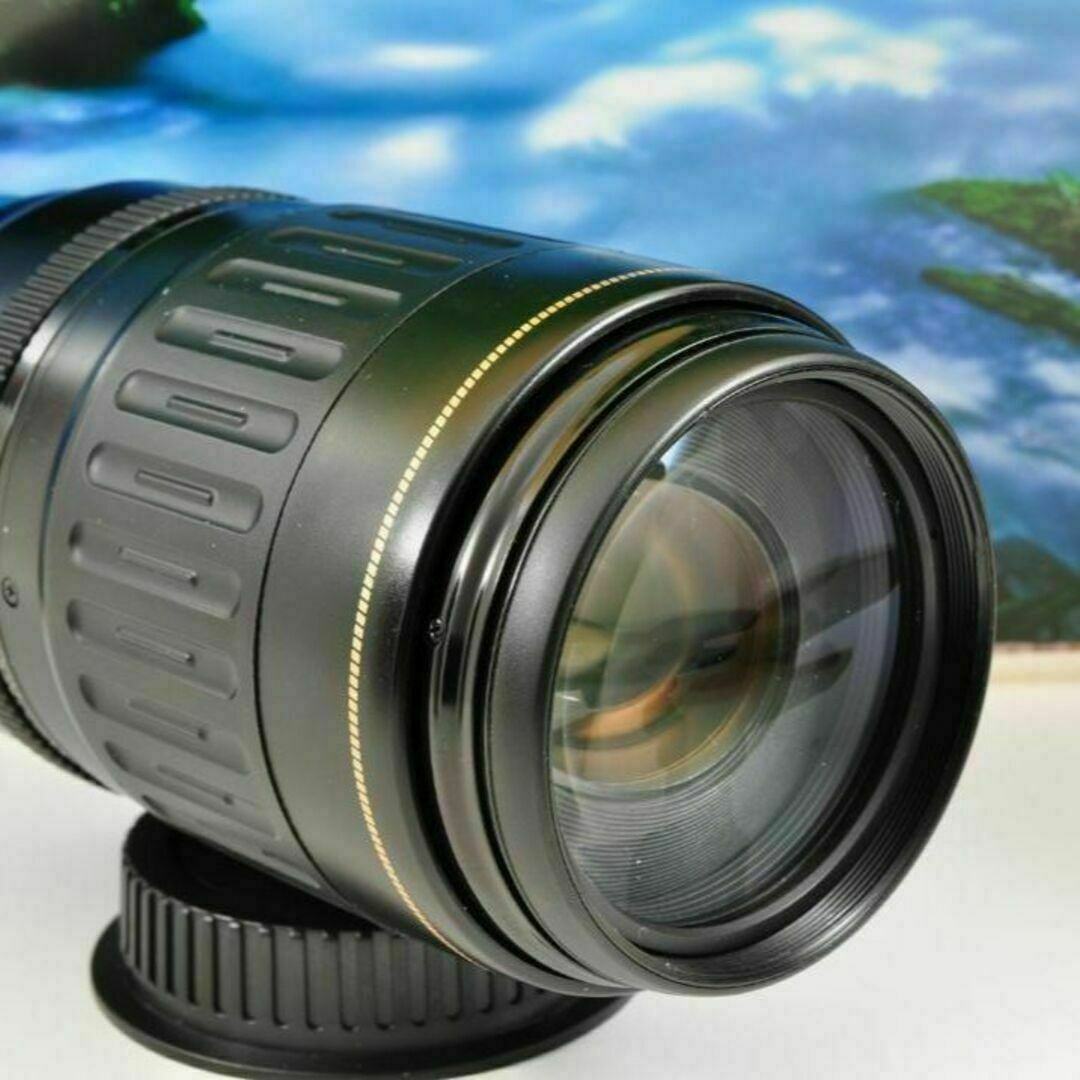 Canon - 望遠はここから！大迫力望遠レンズ キヤノン300mmの通販 by