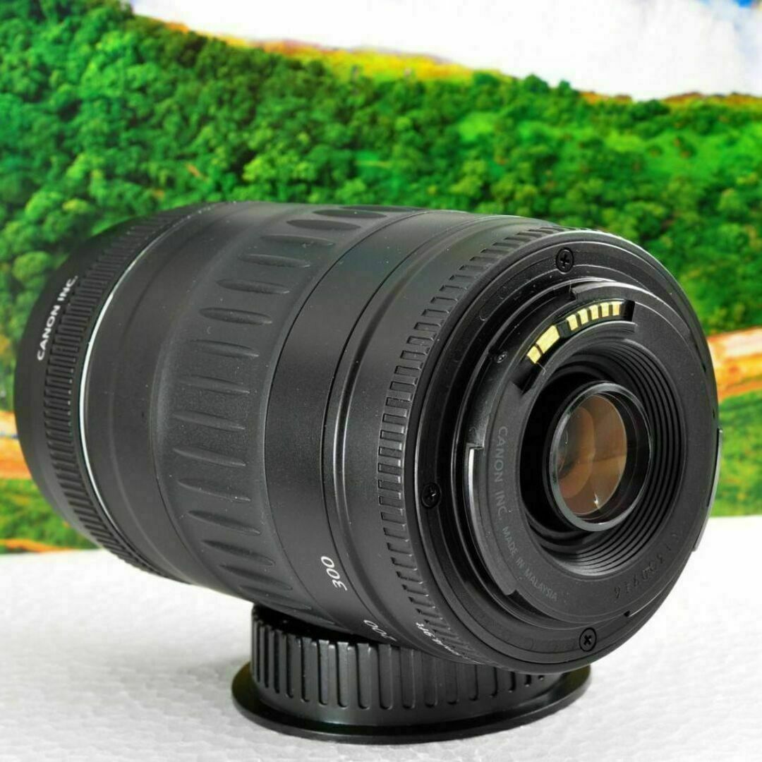 望遠を始めませんか！Canon Zoom LENS EF 90-300