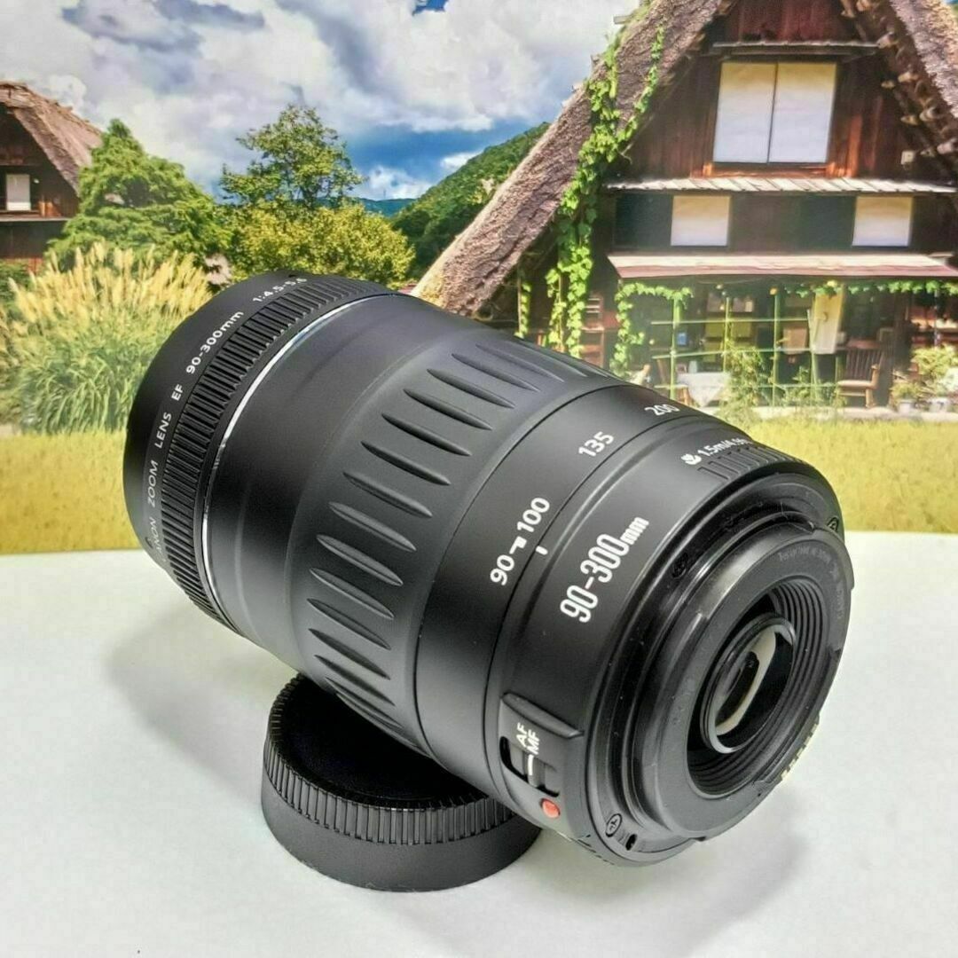 Canon キヤノン 90-300mm 迫力の300㎜ レンズ(ズーム) 元の価格