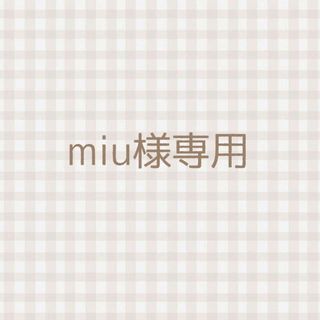 miu様専用(ドライフラワー)