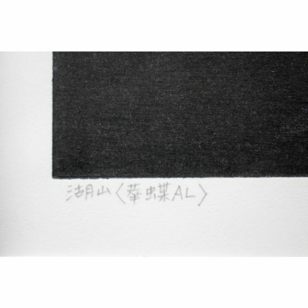 金守世士夫『湖山＜華蝶AL＞』木版画【真作保証】 絵画 エンタメ/ホビーの美術品/アンティーク(版画)の商品写真