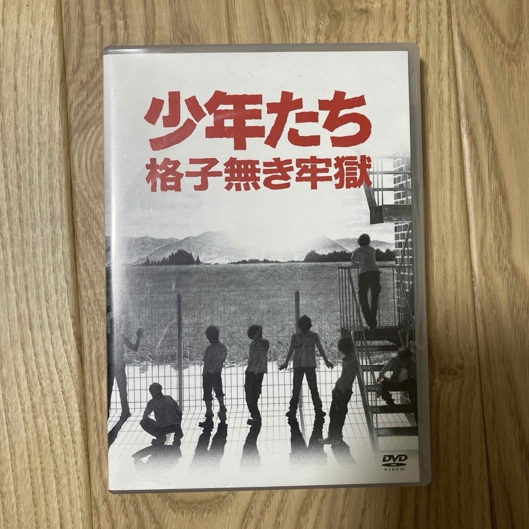 少年たち　格子無き牢獄 DVDDVDブルーレイ