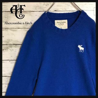 アバクロンビーアンドフィッチ(Abercrombie&Fitch)の【人気Ｌサイズ】アバクロンビー＆フィッチ　刺繍ロゴ入りセーター　美品　A681(ニット/セーター)