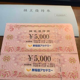 早稲田アカデミー 株主優待10000円分 有効期限2024.11.30チケット - その他