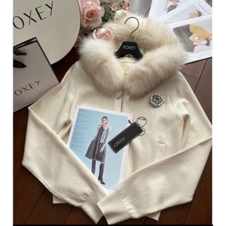 フォクシー(FOXEY)の美品✳︎FOXYフォクシー✳︎フォックスファー　ニットパーカー　38(ニット/セーター)