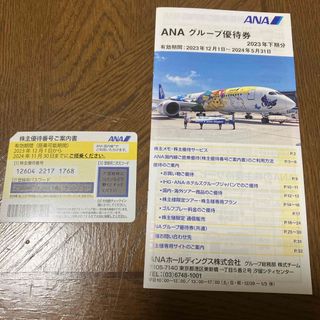 ANA株主優待券、(その他)