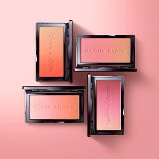 TOM FORD BEAUTY - 海外人気ブランドKEVYN AUCOINケヴィン オークイン ザ ネオブラッシュ