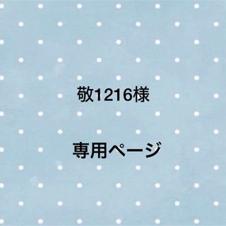 敬1216様専用ページ(その他)