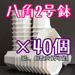 八角鉢 ◎2号◎白 40個 アガベ 多肉植物 プラ鉢(プランター)