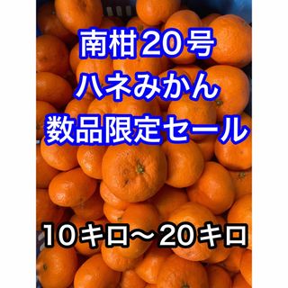 濃厚みかん　南柑20号　訳あり家庭用　愛媛産(フルーツ)