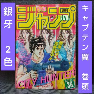 シュウエイシャ(集英社)の週刊少年サンデー 1985年36号※キャプテン翼 巻頭カラー※銀牙 2色カラー(少年漫画)