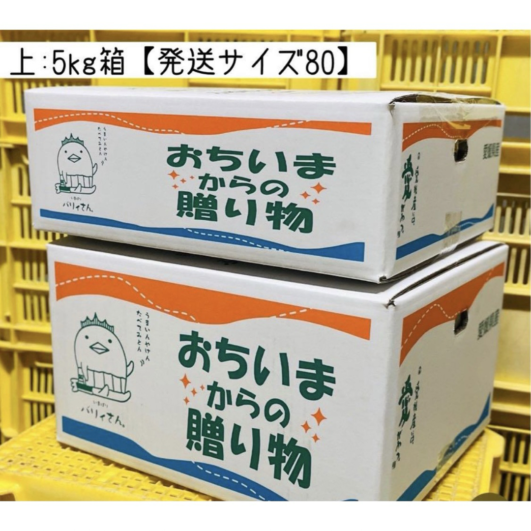 愛果28号(まどんな)5kg箱　小粒S〜M（紅まどんな同品種） 食品/飲料/酒の食品(フルーツ)の商品写真