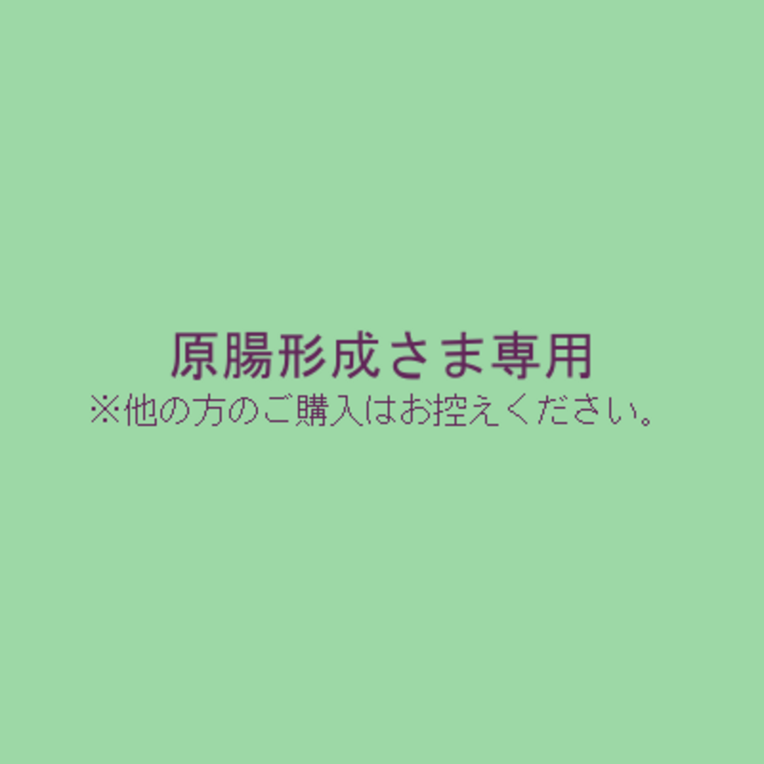 注目ブランド 高校生物】「胞胚～原腸胚」 特許7211979 原腸形成さま