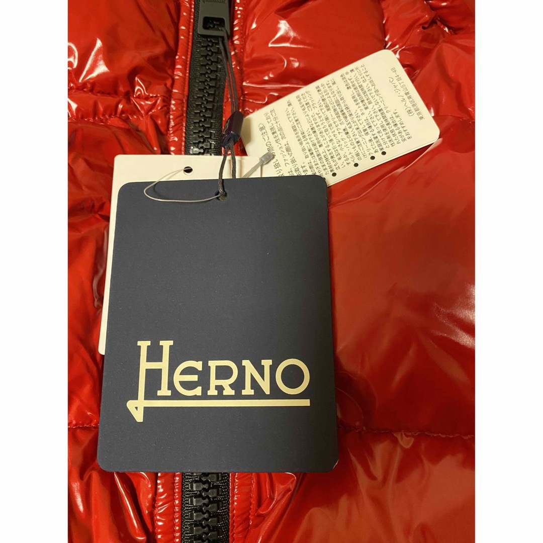 HERNO(ヘルノ)のHERNO ヘルノ　グロス フード ボンバージャケット ダウンジャケット　 メンズのジャケット/アウター(ダウンジャケット)の商品写真