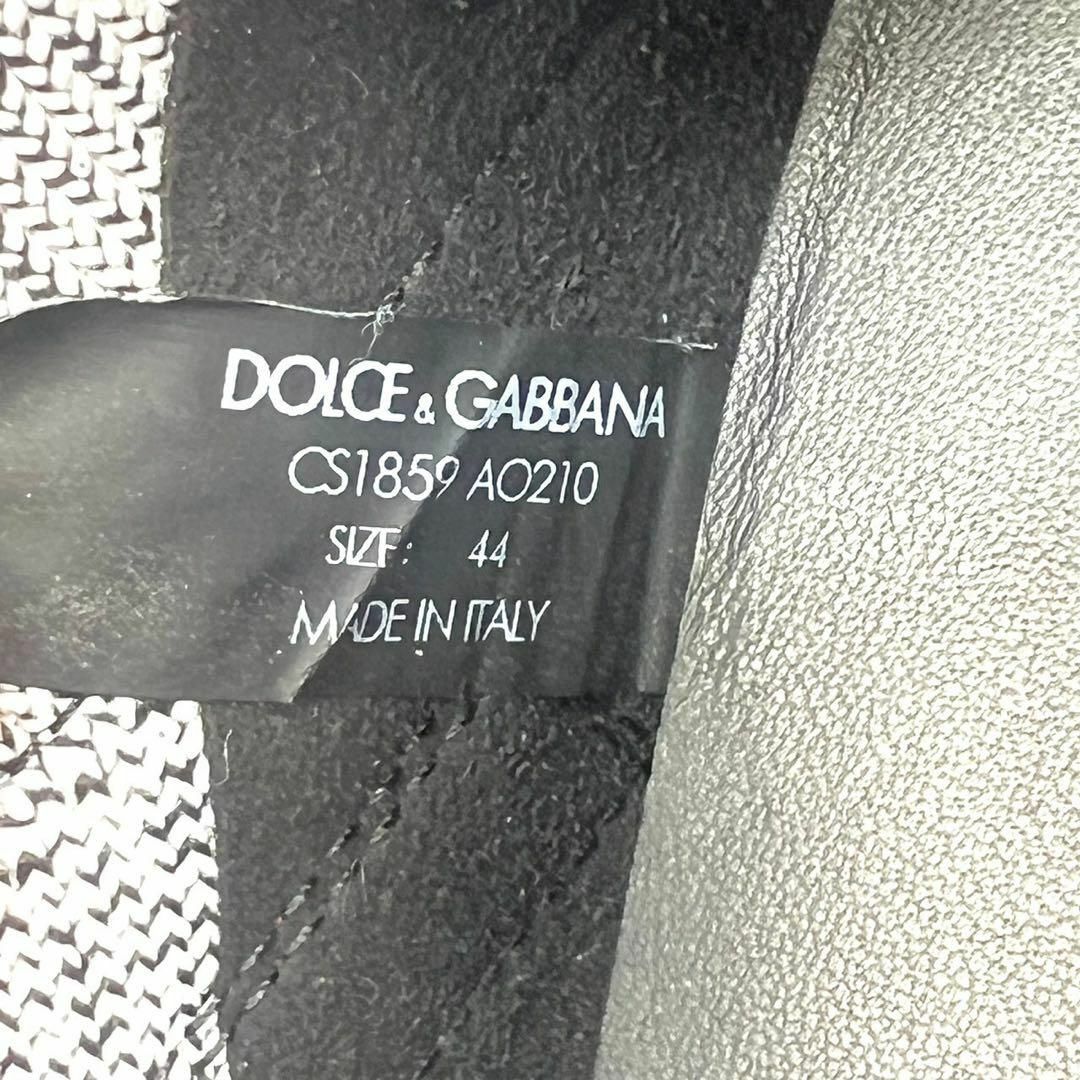 DOLCE&GABBANA(ドルチェアンドガッバーナ)のドルチェ&ガッバーナ　ドルガバ　スニーカー　デイマスター メンズの靴/シューズ(スニーカー)の商品写真