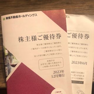 東急不動産HD 株主優待券  2冊(その他)