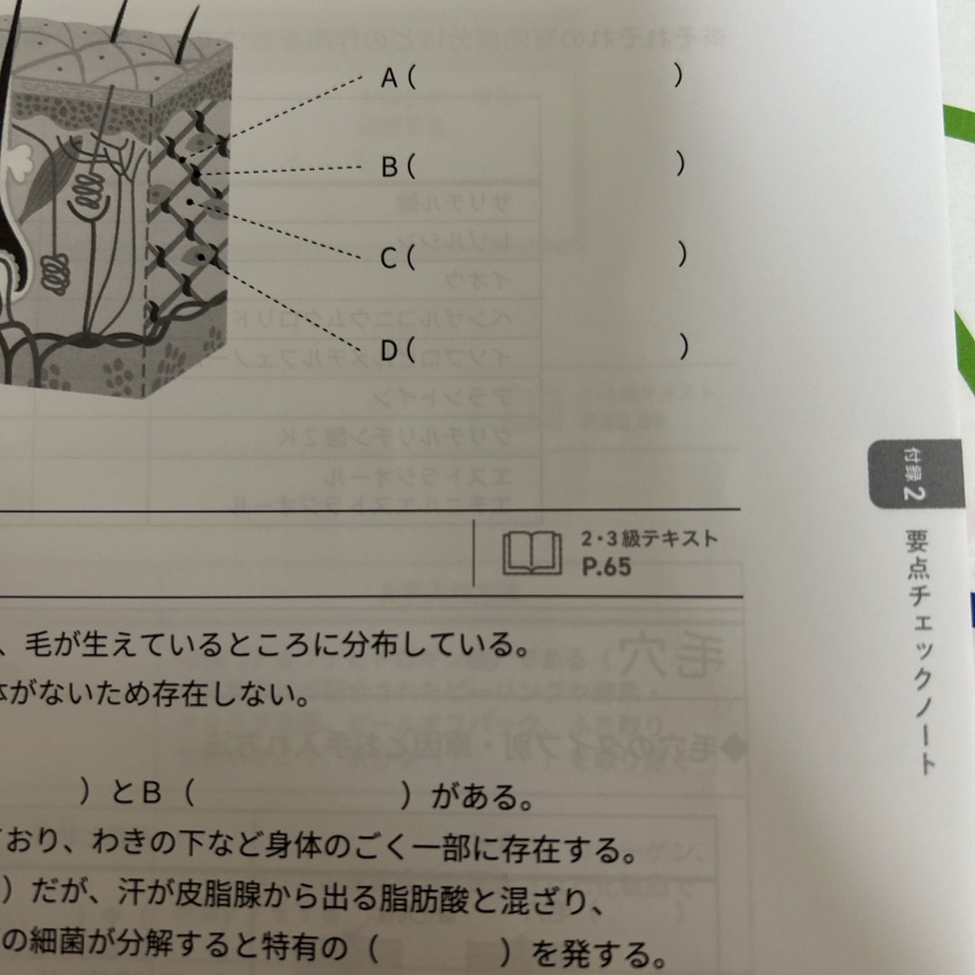 主婦の友社(シュフノトモシャ)の書き込みなし！日本化粧品検定2級・3級対策テキスト 2級 対策問題集 セット エンタメ/ホビーの本(資格/検定)の商品写真