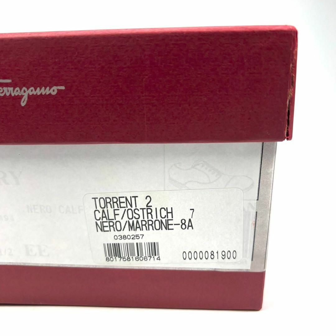 Salvatore Ferragamo - サルヴァトーレフェラガモ トラメッザ Salvatore Ferragamo - サルヴァトーレフェラガモ トラメッザ
