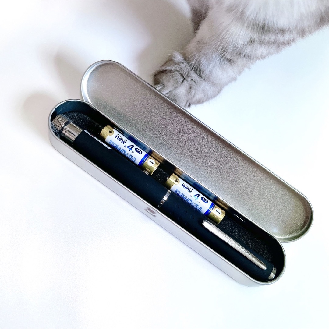 LEDペンライト　レーザー　ポインター　カラス駆除  猫おもちゃ　工事　会議 その他のペット用品(猫)の商品写真