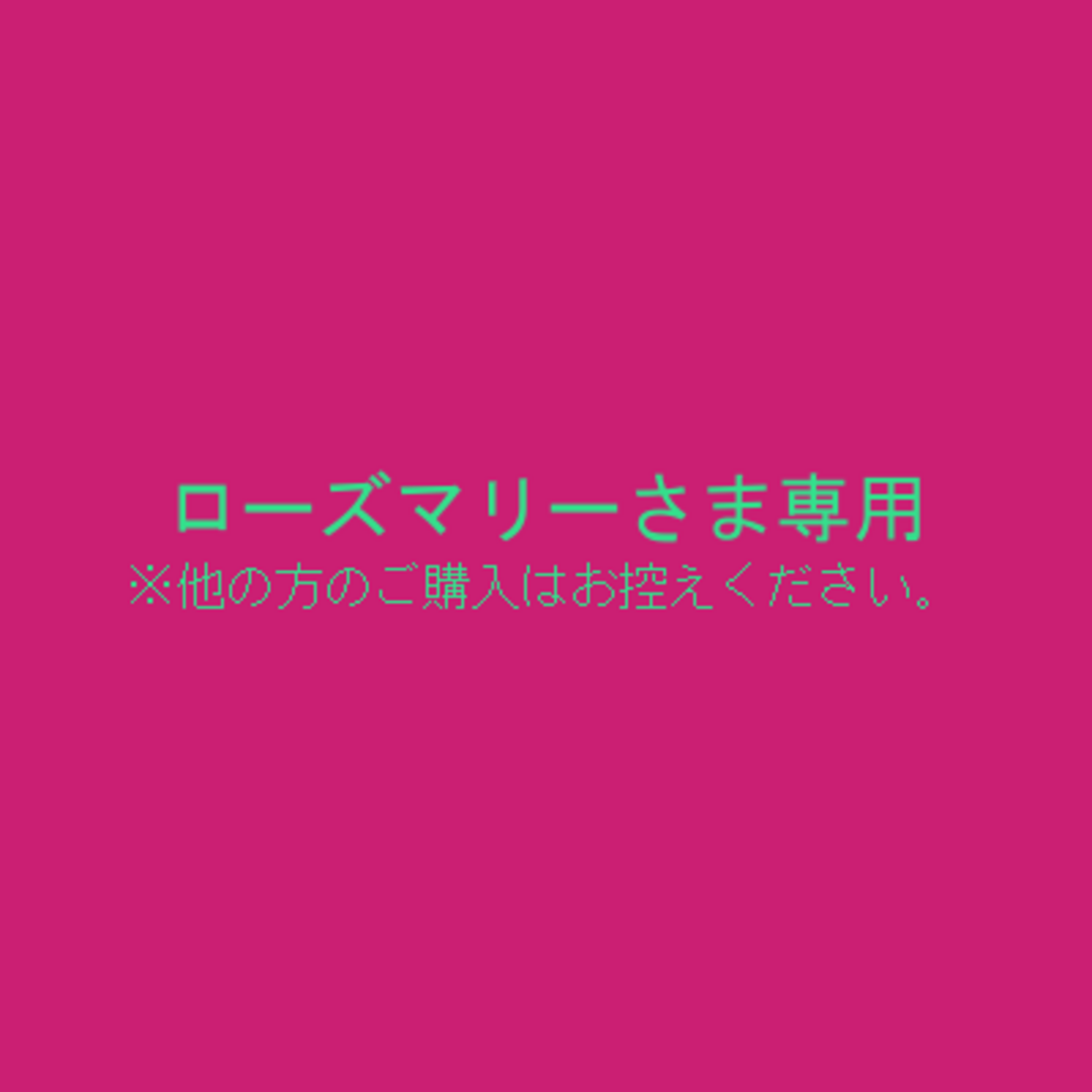 最安 ローズマリーさま専用 E-0096 | www.libroactivo.com