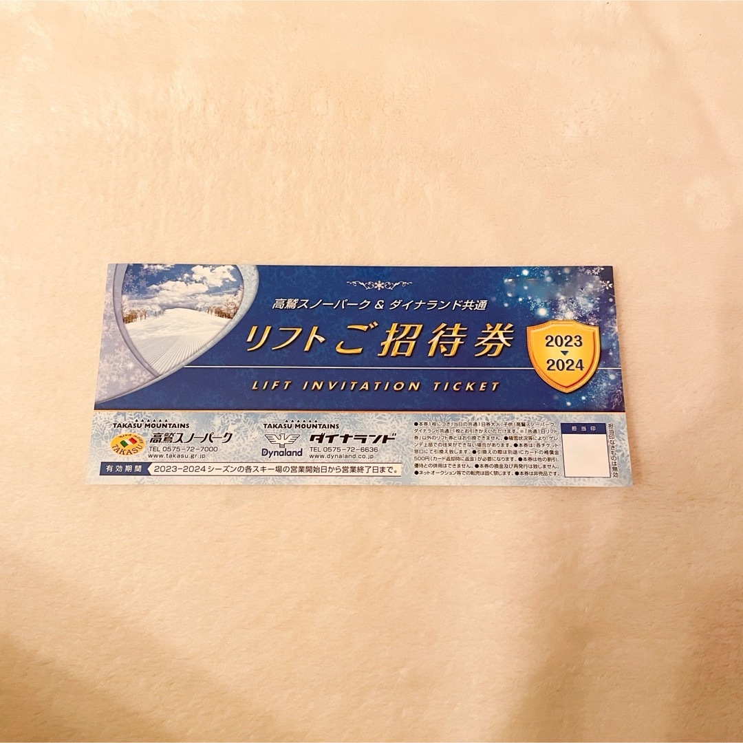 12時間以内発送【大人ペア2枚】ユニバーサルスタジオジャパン　USJ　チケット明日の朝発送しますので