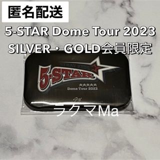 ストレイキッズ(Stray Kids)のStray Kids 会場限定 オリジナル 缶バッジ 非売品 5 STAR(K-POP/アジア)