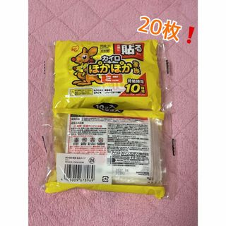 アイリスオーヤマ - 『新品』ぽかぽか家族 貼るミニ10個入り×2個セット　計20枚❗️