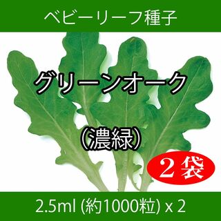 ベビーリーフ種子 B-47 グリーンオーク（濃緑） 2.5ml x 2袋(野菜)