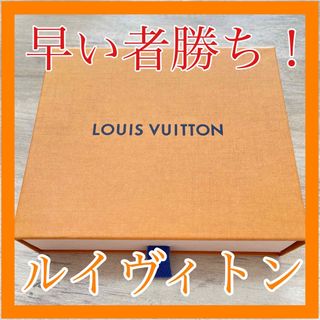 ルイヴィトン(LOUIS VUITTON)のルイヴィトン　空箱　保存袋(ショップ袋)