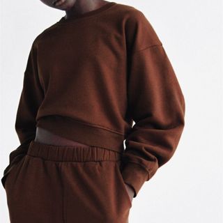 ザラ(ZARA)のZara クロップドスウェットトップ トレーナー H&M uniqlo gap(トレーナー/スウェット)