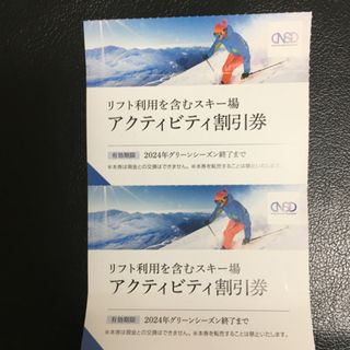 日本駐車場開発の株主優待 リフト利用を含むスキー場　アクティビティ割引券２枚(スキー場)