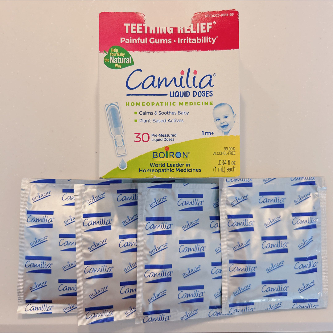 Camilia カミリア 20本 食品/飲料/酒の食品(その他)の商品写真