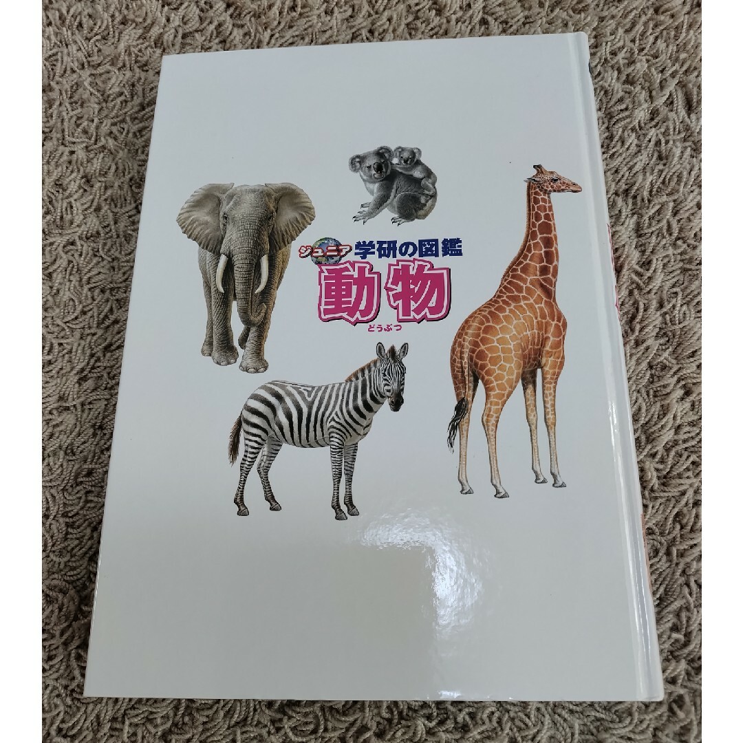 学研(ガッケン)の【カバーなし】ジュニア 学研の図鑑 動物 エンタメ/ホビーの本(絵本/児童書)の商品写真