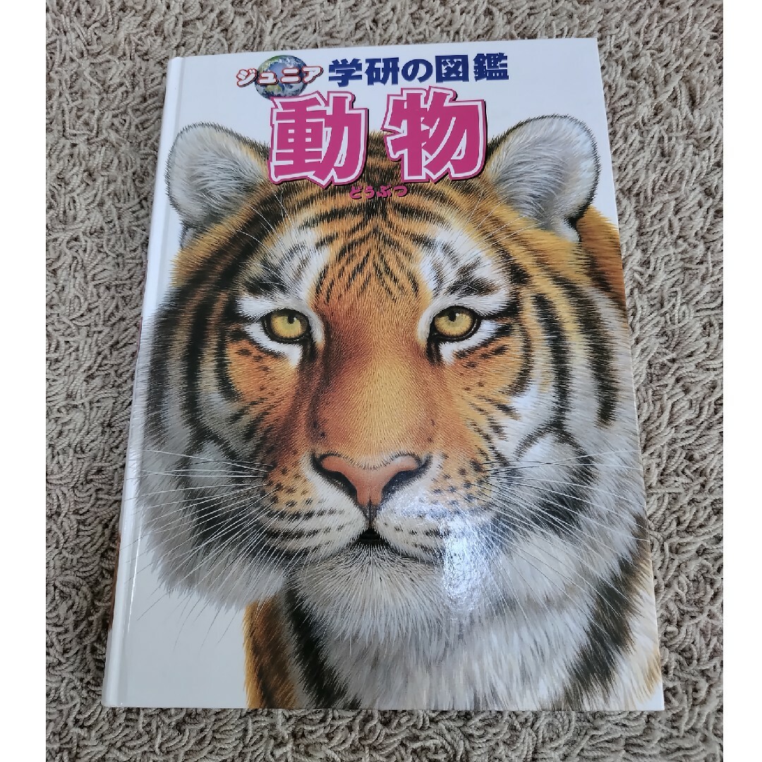 学研(ガッケン)の【カバーなし】ジュニア 学研の図鑑 動物 エンタメ/ホビーの本(絵本/児童書)の商品写真