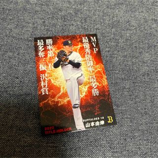 オリックスバファローズ(オリックス・バファローズ)のプロ野球カード(スポーツ選手)