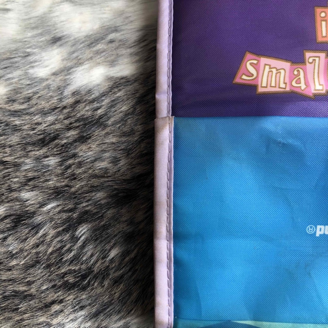 Disney(ディズニー)の【used】スーベニア　ランチバッグ　スモワ  スモールワールド  ランチケース レディースのバッグ(トートバッグ)の商品写真