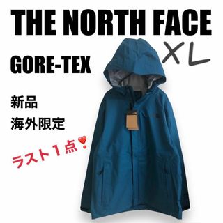 ノースフェイス(THE NORTH FACE) 韓国 マウンテンパーカー(メンズ)の