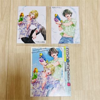 ハクセンシャ(白泉社)の春の嵐とモンスター 野良猫と狼 ブロマイド ポストカード(少女漫画)