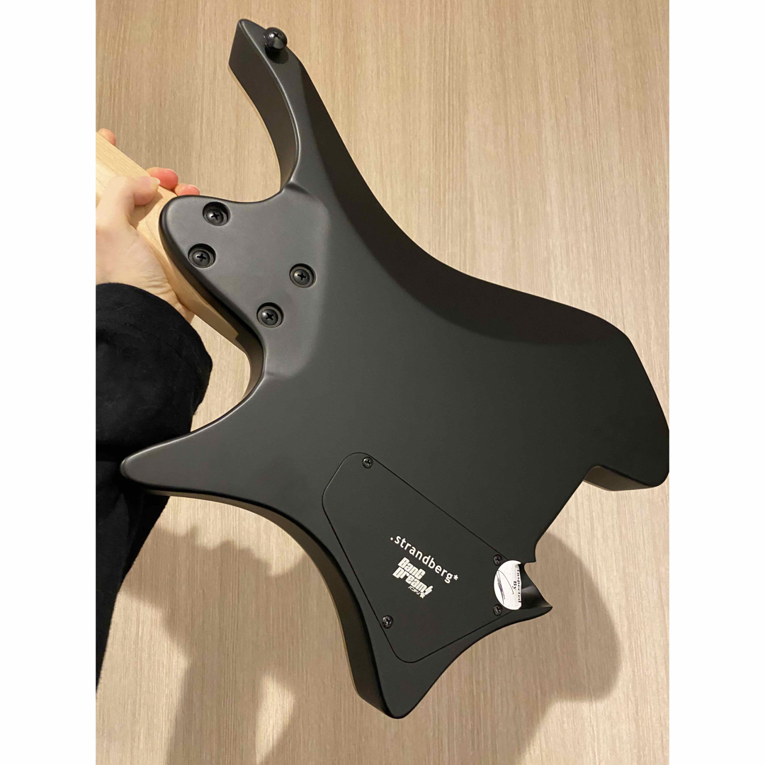 ESP(イーエスピー)のStrandberg Boden  RAS6 楽器のギター(エレキギター)の商品写真